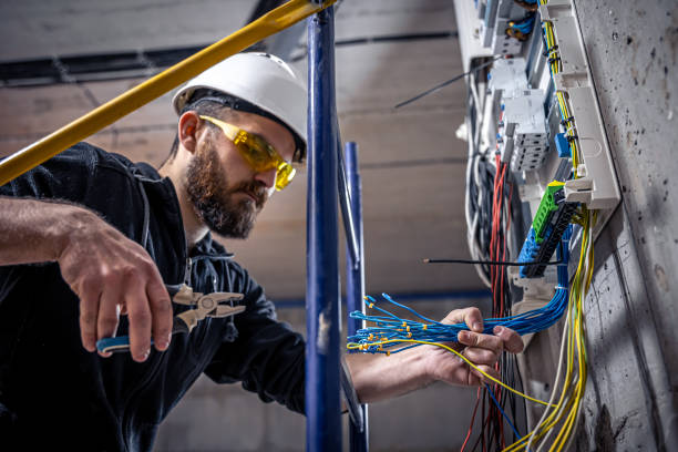 Best Local Electrician Companies  in Ly Lake, IL