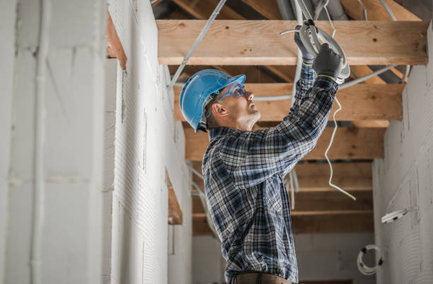Best Electrician for Home Renovation  in Ly Lake, IL