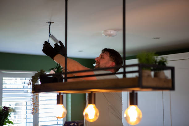 Best Electrical Troubleshooting Services  in Ly Lake, IL